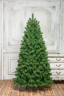 Искусственная сосна Ариадна 210 см., Леска, ЕлкиТорг (51210)