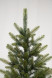 Искусственная елка Приморская 210 см., 100% литая хвоя, ЕлкиТорг (53210) оптом