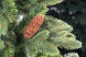 Искусственная ель Московская с шишками 120 см., литая хвоя+пвх, Max Christmas (ЕМС12) 