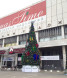 Уличная сосна Уральская зеленая 8 м., каркасная, Леска, Green Trees (GT8URLES) 