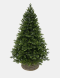 Можжевельник 215 см., зеленый, литая хвоя, Triumph Tree (72131) 