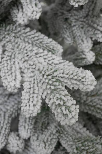 Искусственная елка Александрийская заснеженная 180 см., 100% литая хвоя, ЕлкиТорг (192180)