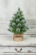 Искусственная сосна Скарлетт с инеем 60 см., Леска, ЕлкиТорг (96060) оптом