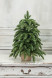 Искусственная елка Ренессанс 60 см., 100% литая хвоя, ЕлкиТорг (98060) оптом