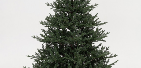 Искусственная елка Царевна леса 240 см., 100% литая хвоя, ЕлкиТорг (11240) оптом