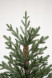 Искусственная елка Царевна леса 240 см., 100% литая хвоя, ЕлкиТорг (11240) оптом