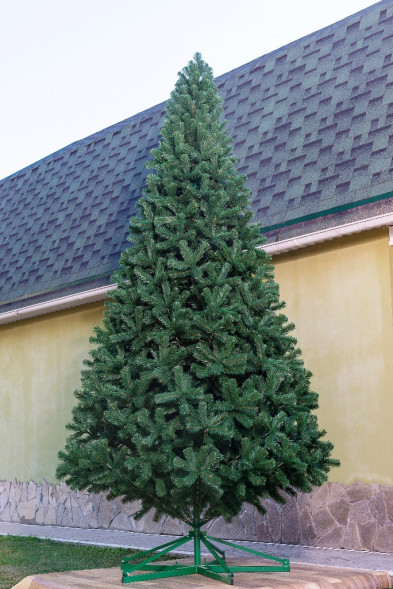 Искусственная сосна Афина PREMIUM 5.5 м., ствольная, уличная. ПВХ, ЕлкиТорг (59550) оптом