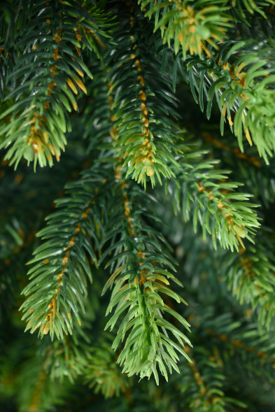 Искусственная елка Венецианская 60 см., 100% литая хвоя, ЕлкиТорг (109060)