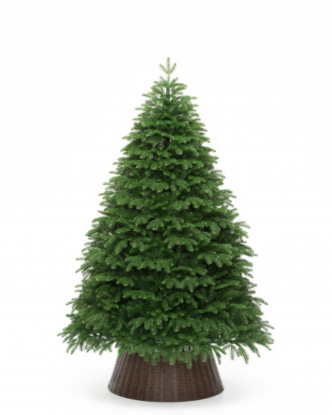 Искусственная елка Дворянская 270 см., 100% литая хвоя, ЕлкиТорг (93270) оптом