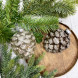 Елочное украшение Шишка от белки 10 см., темно-шоколадный, стекло, 1 шт., Christmas DeLuxe (88122/1) 