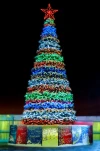 Комплект освещения Северное сияние для елей высотой 5 м., 24 шт., Green Trees (Sev5)