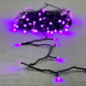 Светодиодная нить 100 пурпурных LED ламп, 10 м., 24В., черный провод ПВХ, Beauty Led (PST100-11-1PU) 
