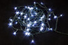 Светодиодная нить 6 м., 220V, 60 холодных белых LED ламп, контроллер, черный провод, Winner Light (w.01.5B.60-)