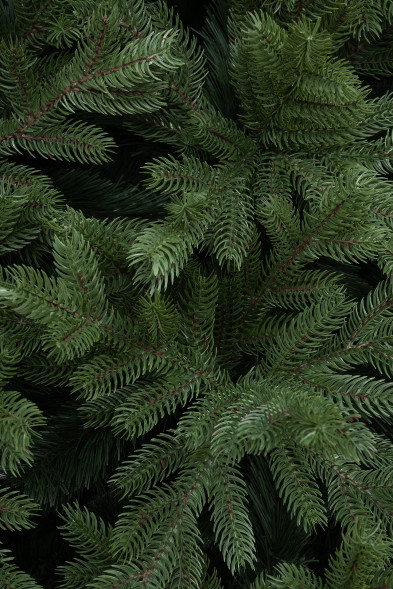 Искусственная ель Адмиралтейская 5 м., Литая хвоя + ПВХ, ЕлкиТорг (200500) оптом