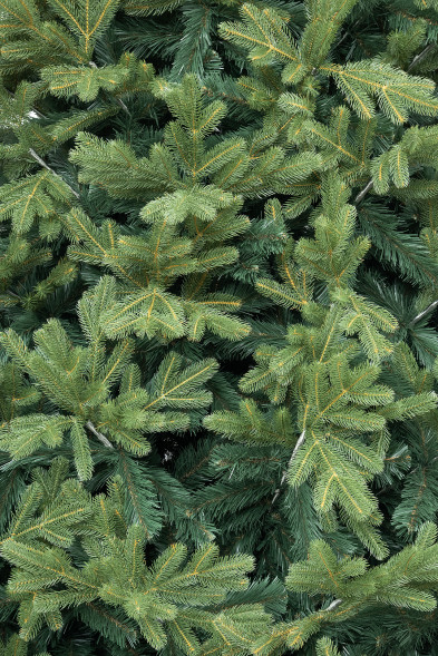 Искусственная ель Дворцовая 4 м., Литая хвоя + ПВХ, ЕлкиТорг (148400) оптом