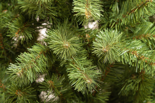 Искусственная елка Лесная 180 см., мягкая хвоя, ЕлкиТорг (38180) оптом