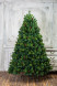 Искусственная сосна Байкальская с шишками 180 см., Леска+ПВХ, ЕлкиТорг (97180) оптом