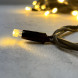 Светодиодная гирлянда с колпачком 75 теплых белых LED ламп 10 м., 24В., черный каучуковый провод, IP65, LTC (LL75-1-1WW) 
