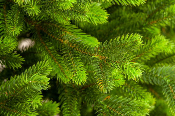 Искусственная елка Мисхор 60 см., 100% литая хвоя, ЕлкиТорг (136060) оптом