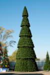 Уличная елка сегментная Сибирская зеленая 26 м., каркасная, ПВХ, Green Trees (GT26SIBPVC) 