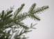 Ель Французская 260 см., 100% Литая хвоя, TreeDeLux (70081) 
