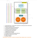 Комплект освещения 3D Премиум для елей высотой 6 м., 14 шт. * 6 м., Green Trees (3D6) 