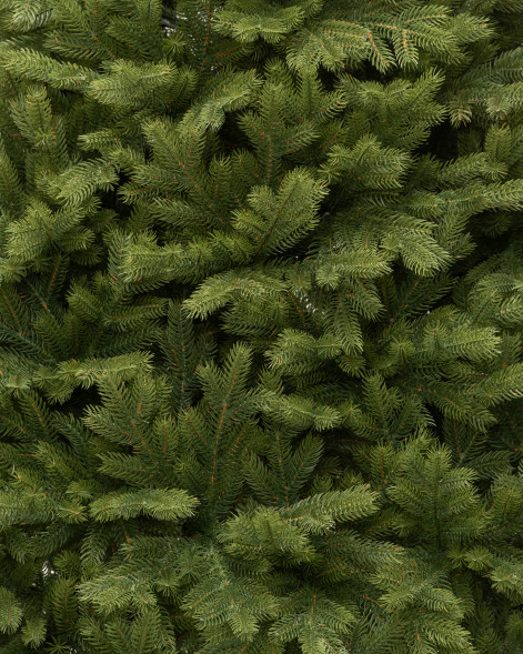 Искусственная елка Эрмитажная 210 см., 100% литая хвоя, ЕлкиТорг (94210) оптом