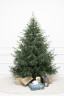 Искусственная елка Заповедная 270 см., 100% литая хвоя, ЕлкиТорг (267270) 