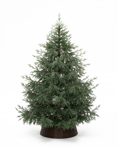 Искусственная елка Заповедная 270 см., 100% литая хвоя, ЕлкиТорг (267270)  оптом