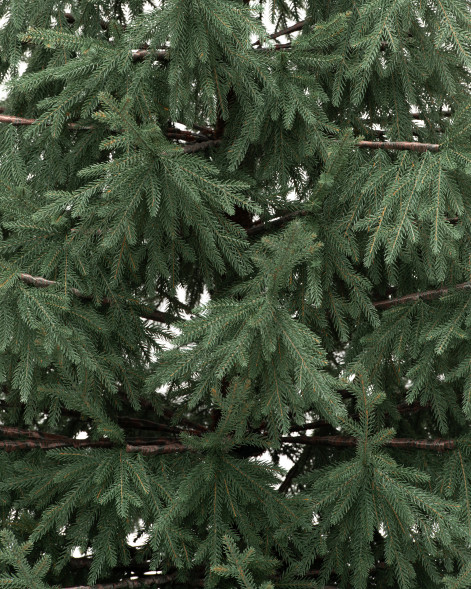 Искусственная елка Заповедная 270 см., 100% литая хвоя, ЕлкиТорг (267270)  оптом