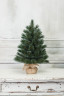 Искусственная сосна Полярная в мешочке 90 см., Леска, ЕлкиТорг (48090)