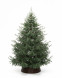 Искусственная елка Заповедная 300 см., 100% литая хвоя, ЕлкиТорг (267300)  оптом