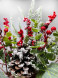 Новогодняя настольная композиция в кашпо 35 см., Christmas DeLuxe (89299) 