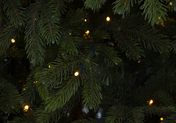 Ель Коттеджная 230 см., 800 LED лампы, литая хвоя+пвх, TreeDeLux (70052) 