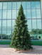 Интерьерная искусственная елка Клеопатра Премиум 3,5 м., ствольная, ПВХ, Green Trees (GT3,5KL) 