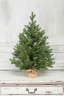 Искусственная елка Графская Премиум 60 см., 100% литая хвоя, ЕлкиТорг (44060)