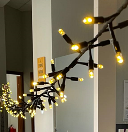 Светодиодная нить Мишура 10 м., 300 LED, 220 В, тёплая белая, статика, чёрная резина 2,3мм., TeamProf (TPF-10C/300-220V-SRB-WW) 
