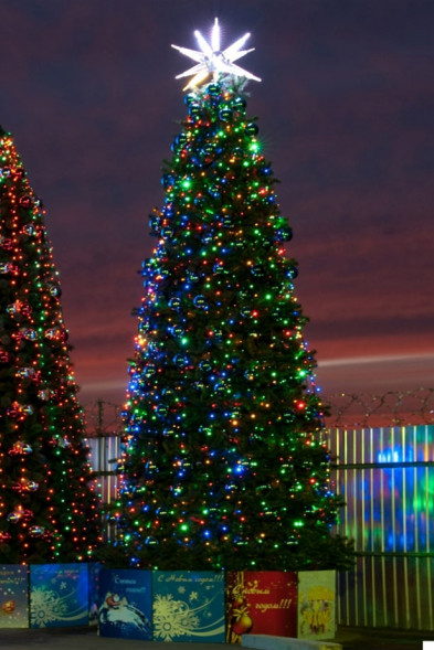 Комплект освещения Динамика для елей высотой 3 м., 600 LED, 5 шт.*12 м., Green Trees (Dinamika3) 