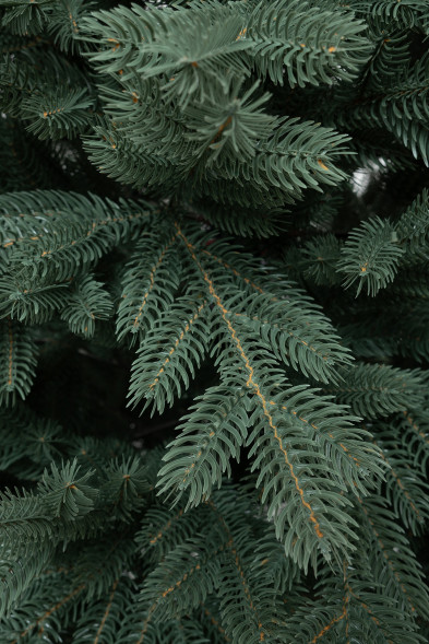 Искусственная елка Балтийская голубая 210 см., 100% литая хвоя, ЕлкиТорг (243210) оптом