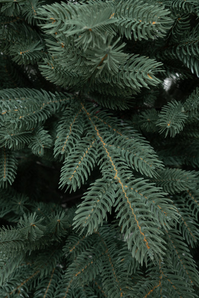 Искусственная елка Балтийская голубая 240 см., 100% литая хвоя, ЕлкиТорг (243240) оптом