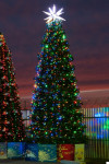 Комплект освещения Динамика для елей высотой 6 м., 960 LED, 8 шт.*12 м., Green Trees (Dinamika6)