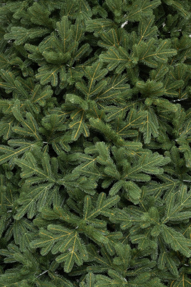 Искусственная елка Городская 5 м., 100% литая хвоя, ЕлкиТорг (197500) оптом