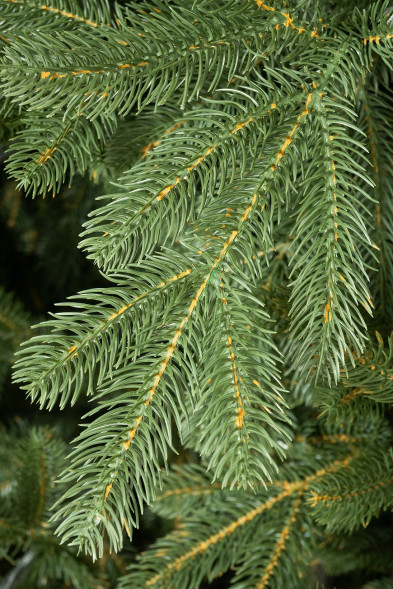 Искусственная елка Городская 6 м., 100% литая хвоя, ЕлкиТорг (197600) оптом