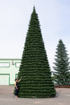 Уличная елка Испанская зеленая 20 м., каркасная, ПВХ, Green Trees (GT20ISPVC)