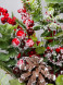 Новогодняя настольная композиция в кашпо 40 см., Christmas DeLuxe (89300) 