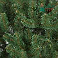 Искусственная сосна Афина PREMIUM 6 м., ствольная, уличная, ПВХ, ЕлкиТорг (59600) оптом