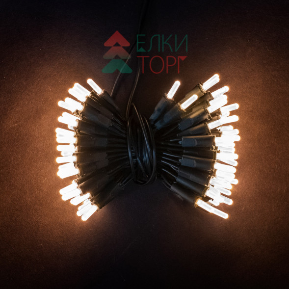 Светодиодная нить Самоцветы 100 теплых белых LED ламп, 10 м., 220В, зеленый провод, Beauty Led (SAM100-13-2WW) 