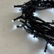 Светодиодная нить 100 холодных белых LED ламп, 10 м., 24В, черный провод ПВХ, LTC (PST100-11-1W) 