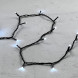 Светодиодная нить 100 холодных белых LED ламп, 10 м., 24В, черный провод ПВХ, LTC (PST100-11-1W) 