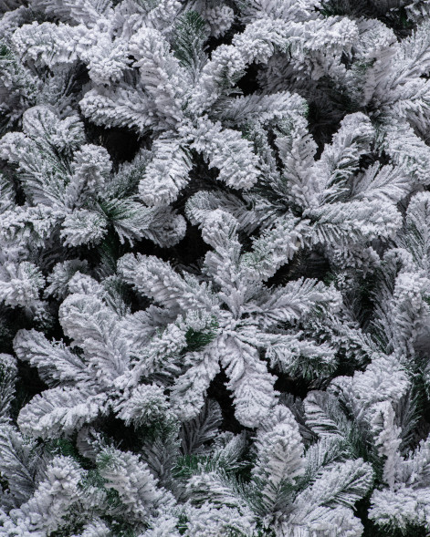 Искусственная елка Эверест заснеженная 270 см., мягкая хвоя, ЕлкиТорг (132270) оптом